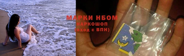 крисы Магас