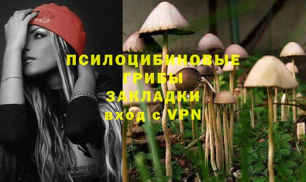 альфа пвп Медногорск