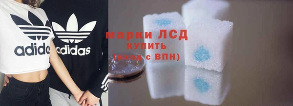 крисы Магас